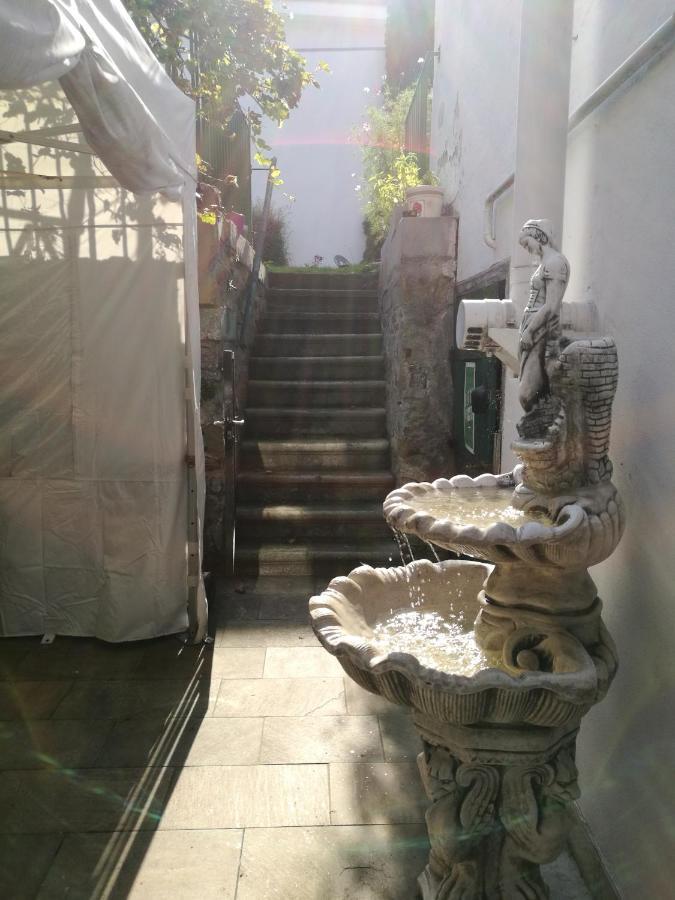 Gaestezimmer & Apartment Mayrhofer 바이트호펜 안 데어 입스 외부 사진